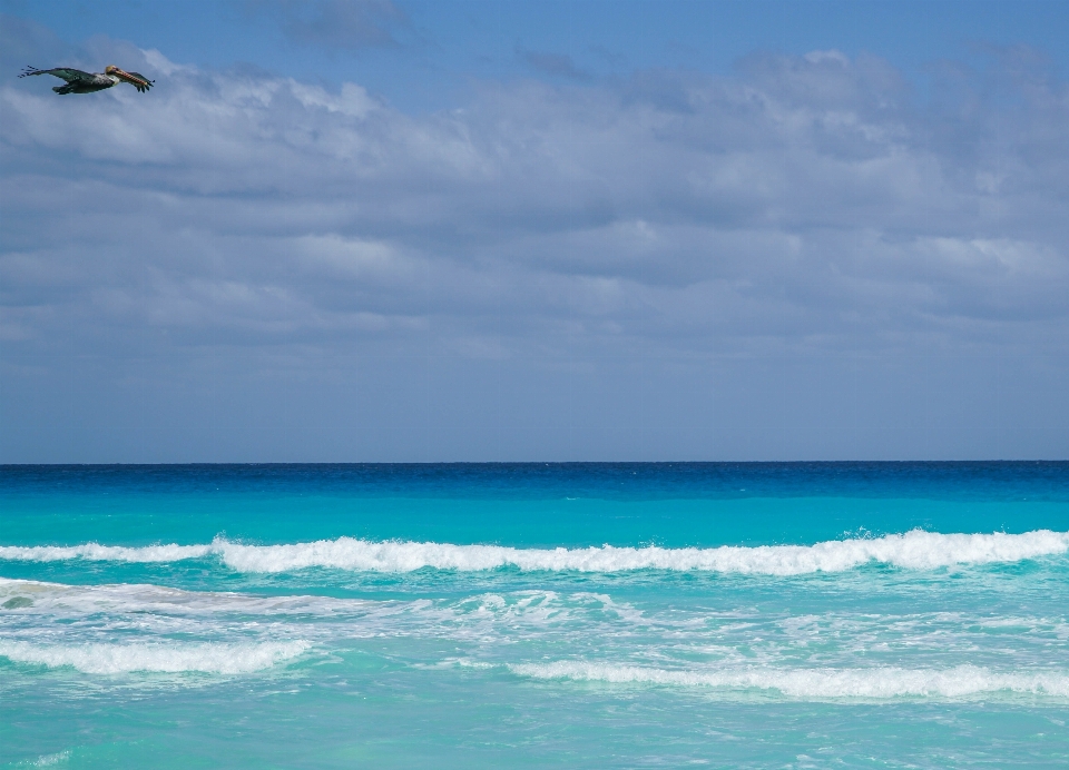 Strand meer küste wasser