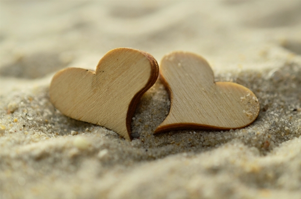 Strand sand rock holz Foto