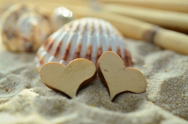 Strand sand holz blütenblatt Foto