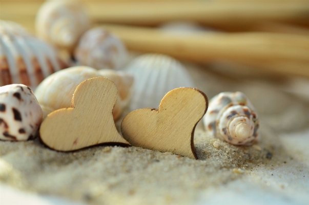 Strand sand holz sommer Foto