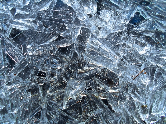 Foto Ramo nevicare inverno struttura