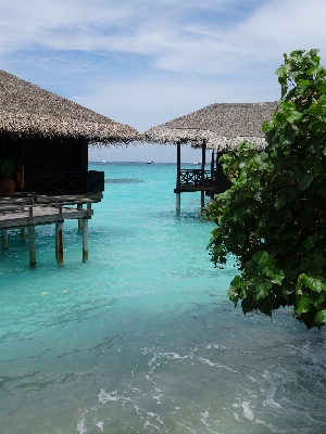 Beach sea coast water Photo