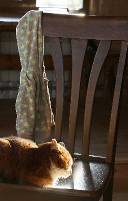 Table wood house interior Photo