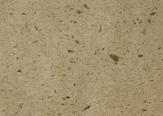 Sand texture floor green Photo