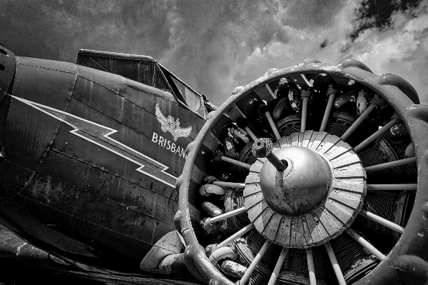 黒と白
 車輪 飛行機 航空機 写真