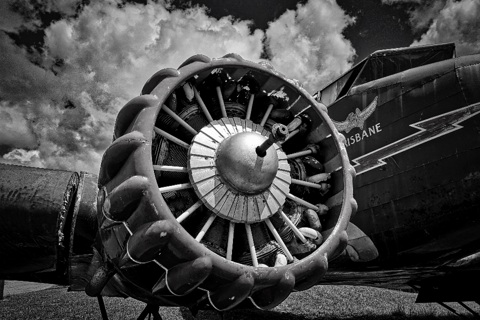 Aile noir et blanc
 la photographie roue