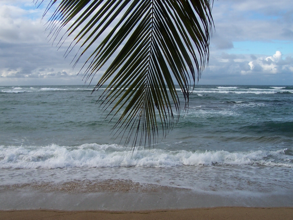 Praia mar costa água