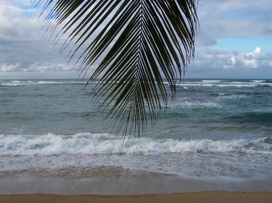 Beach sea coast water Photo