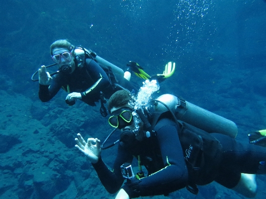 Photo Des loisirs plongée sous-marin la biologie