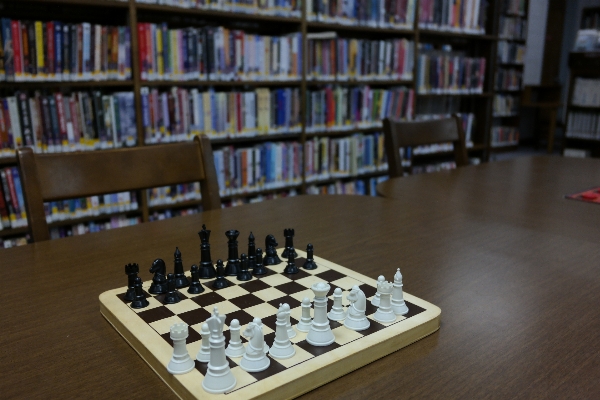 Recreation board game library sports Photo