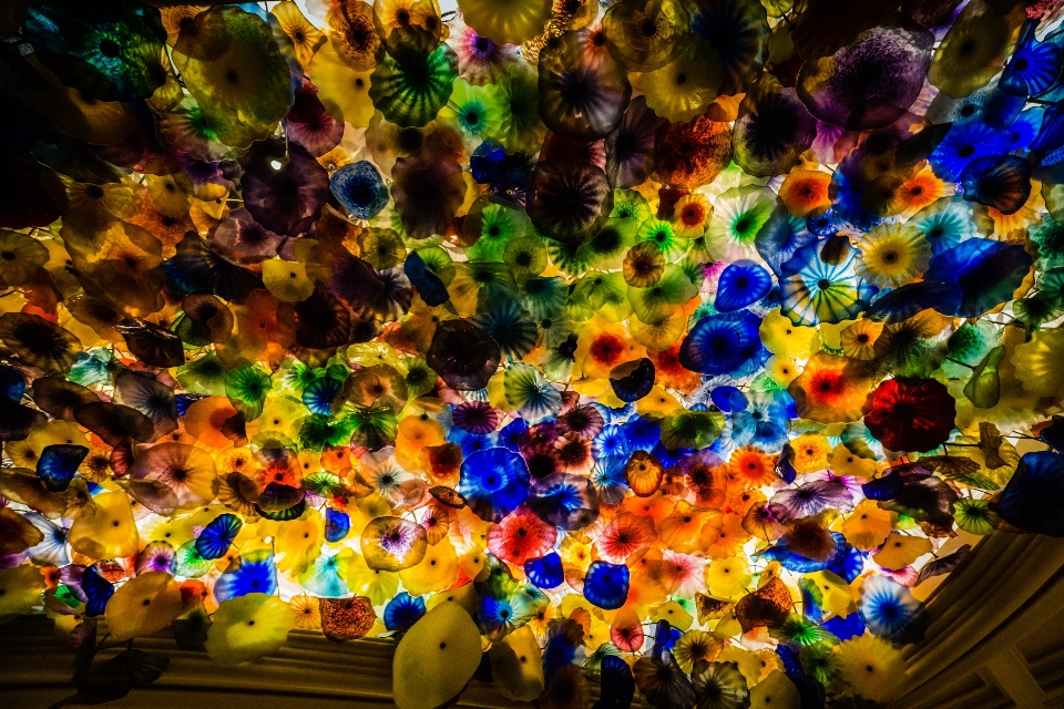 Flower glass ceiling color