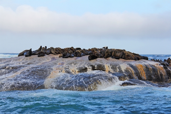 Beach sea coast rock Photo