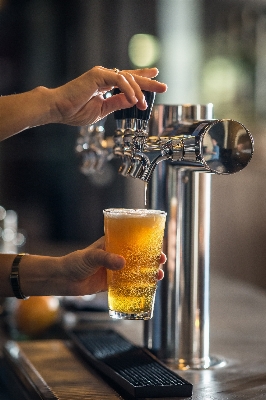 Restaurant bar drink beer Photo