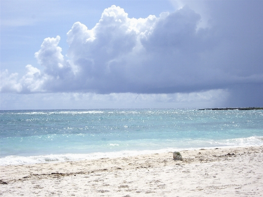 Beach sea coast sand Photo