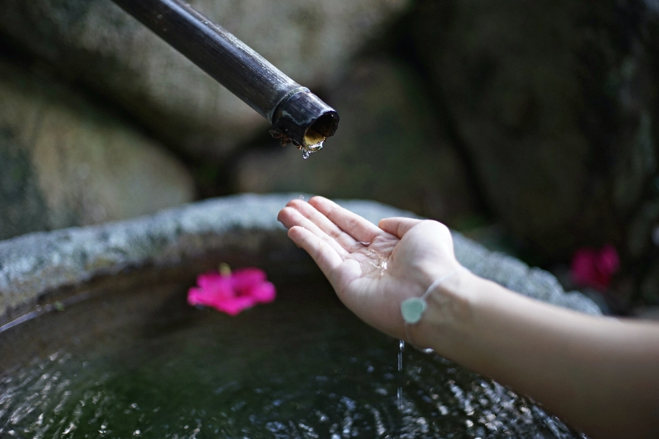 Hand water nature drop