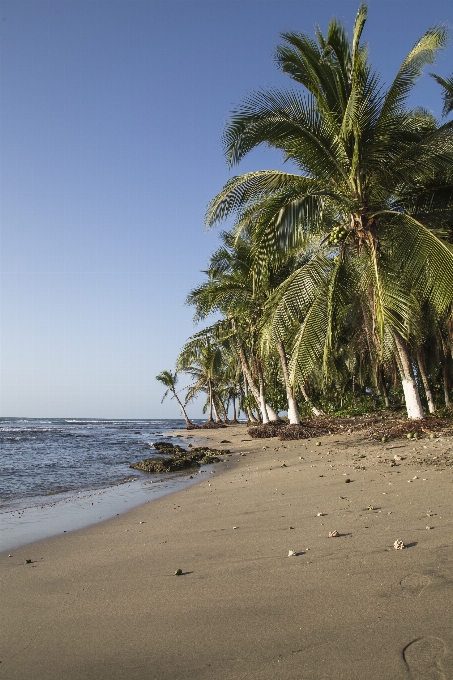 Beach landscape sea coast