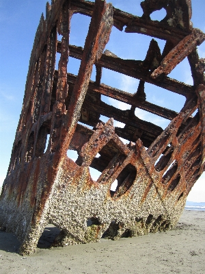 Sea coast ocean wood Photo