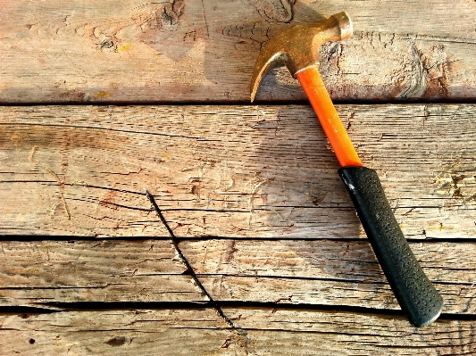 Tree branch wood tool Photo