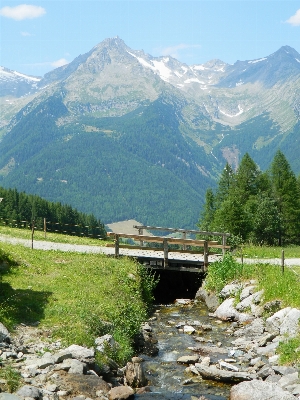 Landscape nature path creek Photo