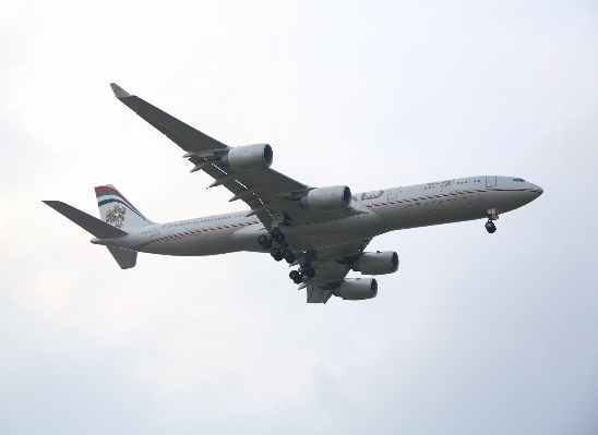 羽 クラウド 空 空気 写真