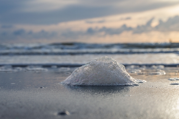 Beach landscape sea coast Photo