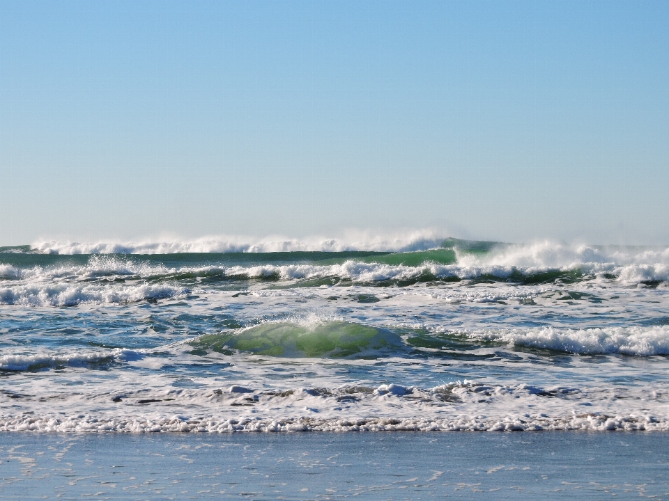 Beach sea coast water