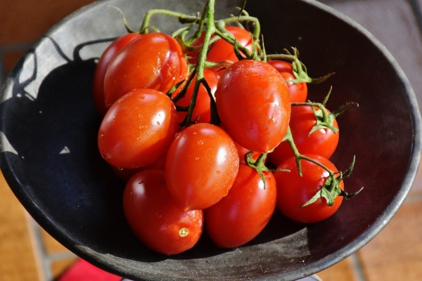 Plant fruit feed food Photo