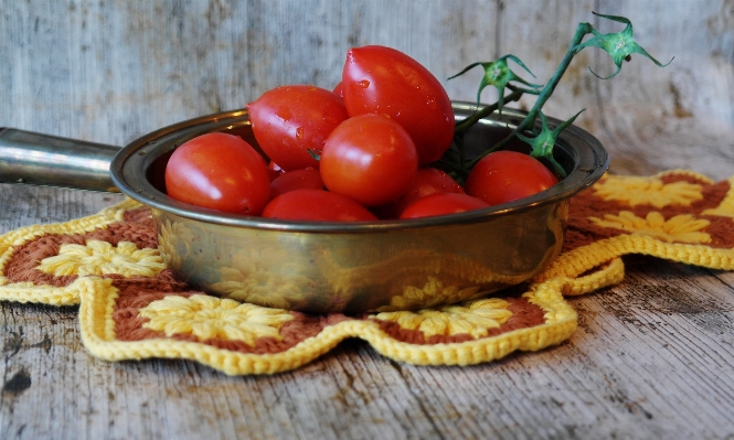 Plant fruit feed dish Photo