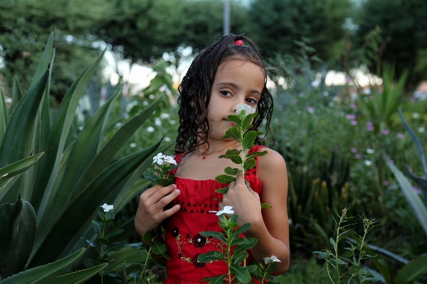 Forest grass plant girl Photo