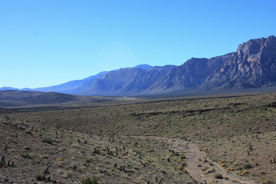 Landschaft natur wildnis
 gehen