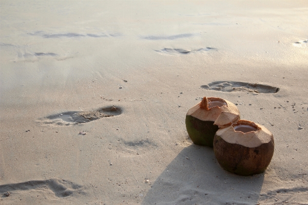 Beach sea water sand Photo