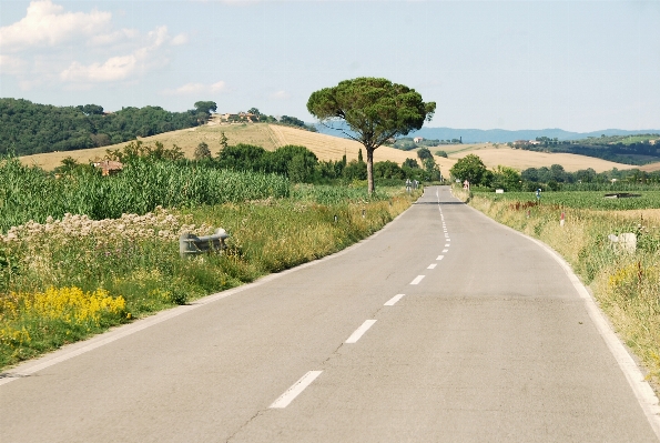 Landscape nature road field Photo