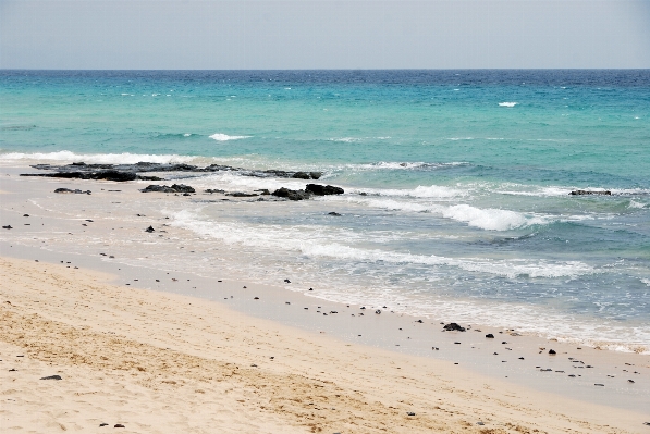 Beach sea coast water Photo