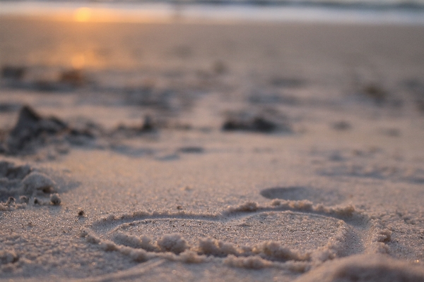 Beach sea coast sand Photo