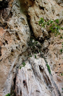 Nature rock structure plant Photo