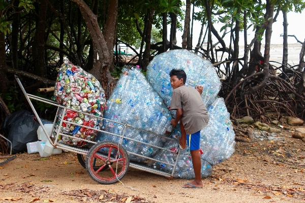 Plastic agriculture playground bottles Photo