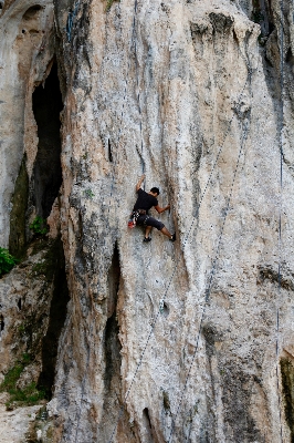 Rock structure plant adventure Photo