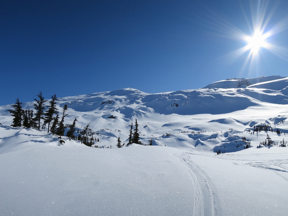 Paysage montagne neige hiver