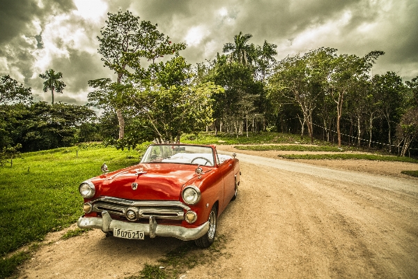 Forest car adventure travel Photo