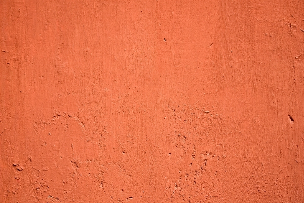 Wood texture floor wall Photo