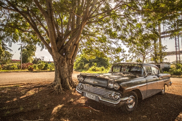 Forest car adventure travel Photo