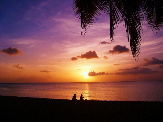 Beach sea coast ocean Photo