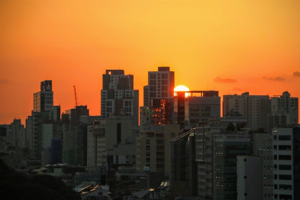 수평선 하늘 해돋이 일몰 사진