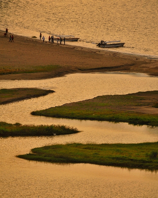 Paesaggio mare costa erba