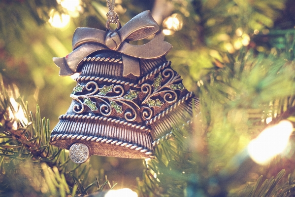 Tree flower autumn christmas Photo