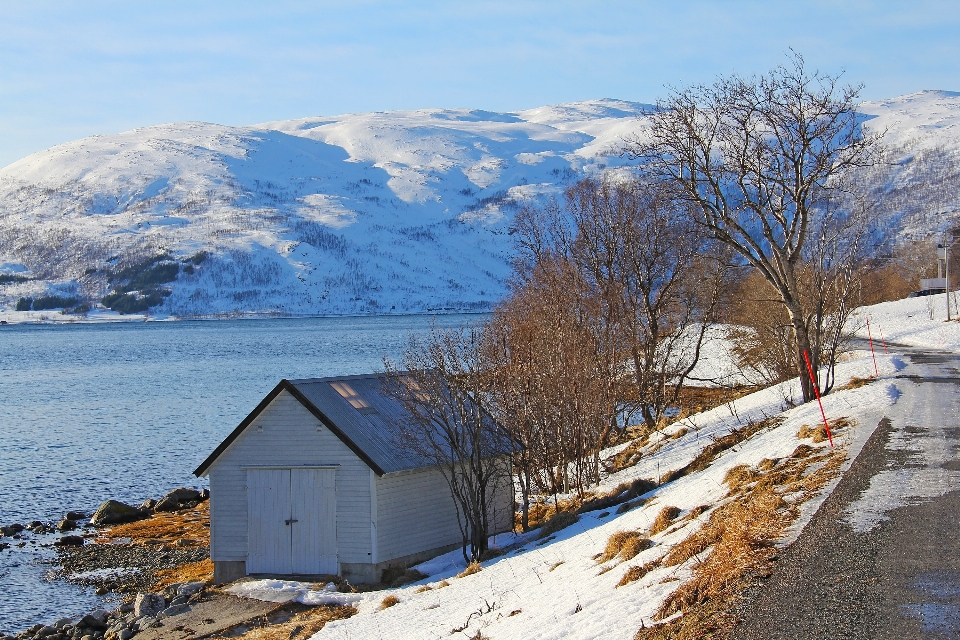 Landscape sea mountain snow