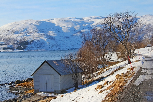 Landscape sea mountain snow Photo