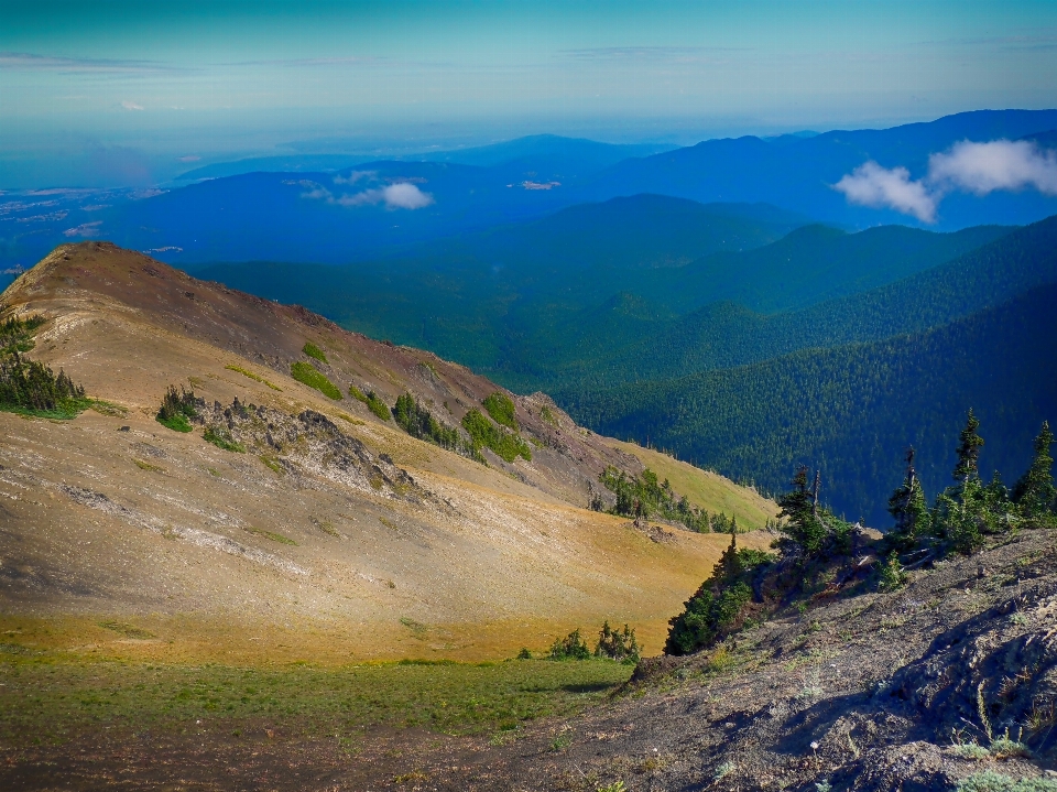 Landscape nature wilderness walking