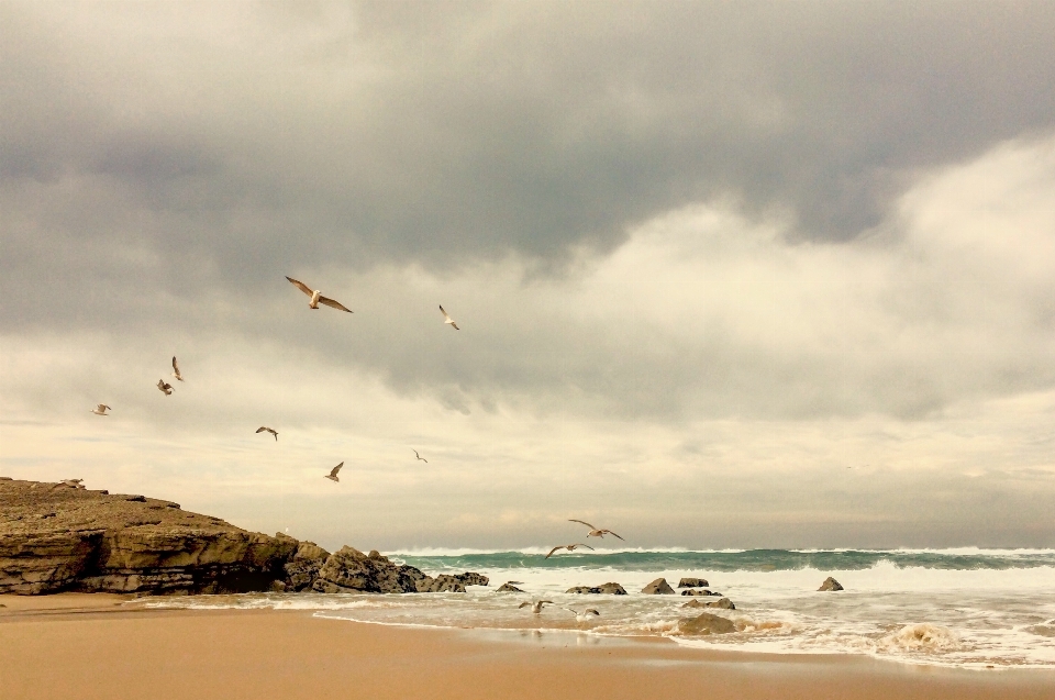 Beach sea coast sand