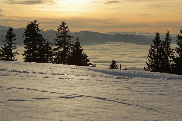 Landscape nature forest mountain Photo